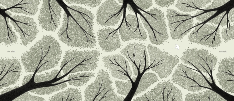 《日子裡的介質》繪本創作計劃｜卓霈欣｜國藝會補助成果檔案庫